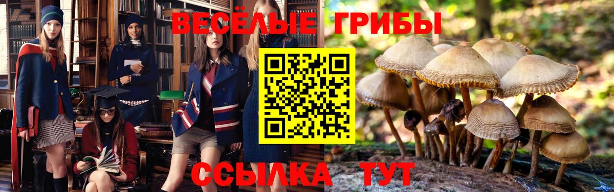 купить наркотики цена  Галлюциногенные грибы прущие грибы  Вход с VPN  Красногорск 
